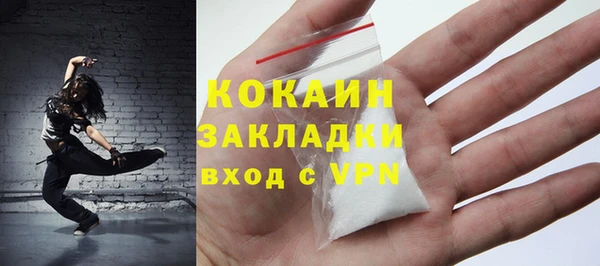 прущие грибы Белокуриха