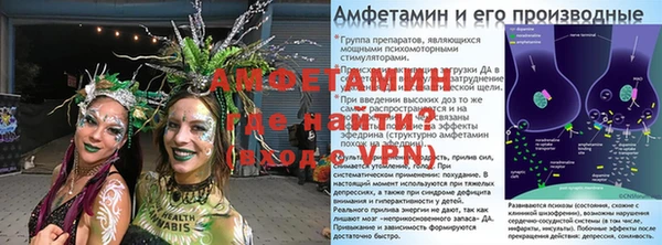 прущие грибы Белокуриха