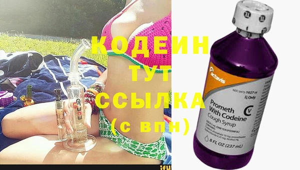 прущие грибы Белокуриха