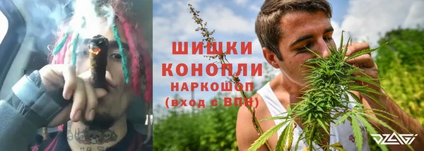 прущие грибы Белокуриха