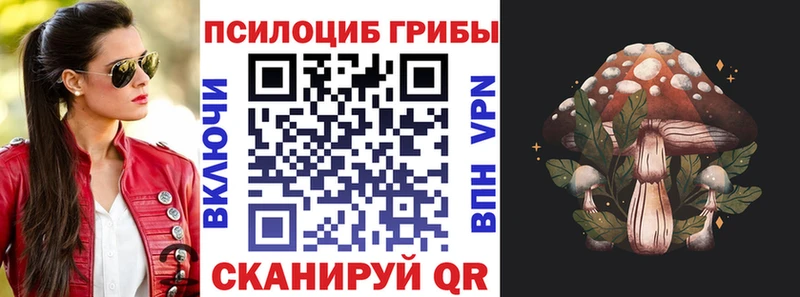 hydra вход  Кизляр  Галлюциногенные грибы ЛСД 